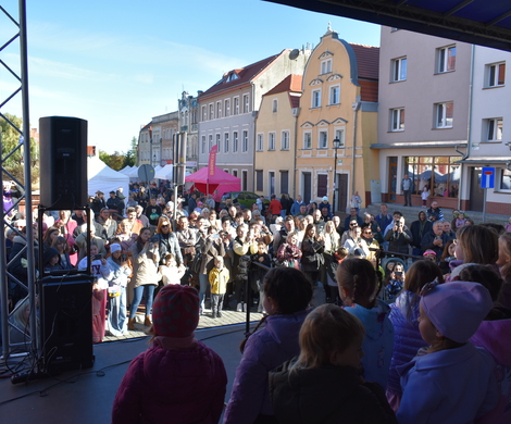 Obchody Patronki Gminy i Miasta Nowogrodziec Św. Jadwigi Śląskiej już za nami!!