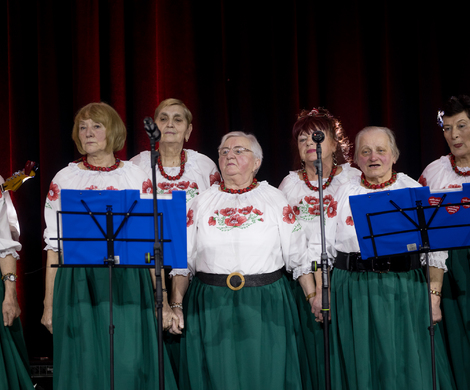 Za nami 34. Finał WOŚP w Gminie Nowogrodziec!