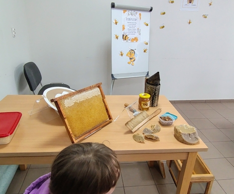 ŚWIATOWY DZIEŃ PSZCZOŁY - filia biblioteczna w Gościszowie